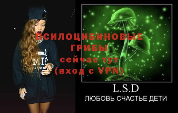 шишки Вяземский