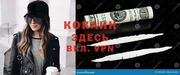 шишки Вяземский