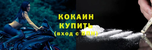 шишки Вяземский