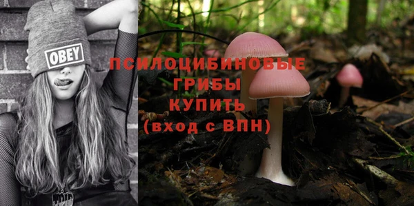 шишки Вяземский