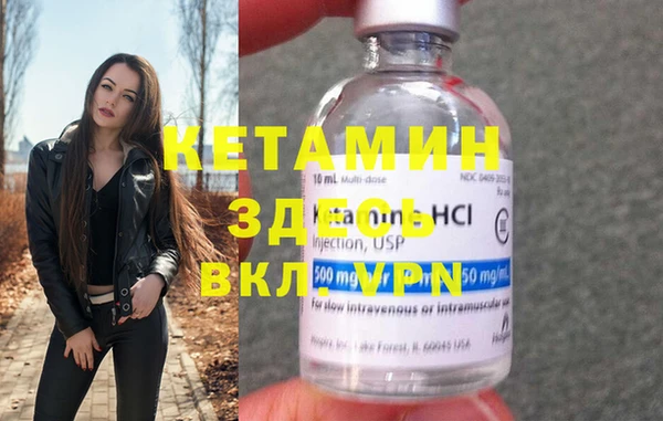 шишки Вяземский