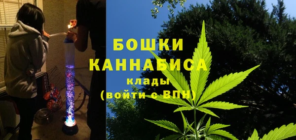 трава Вязьма