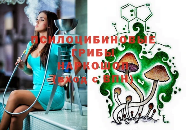 трава Вязьма