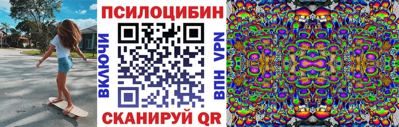хочу   Петрозаводск  Галлюциногенные грибы Cubensis 